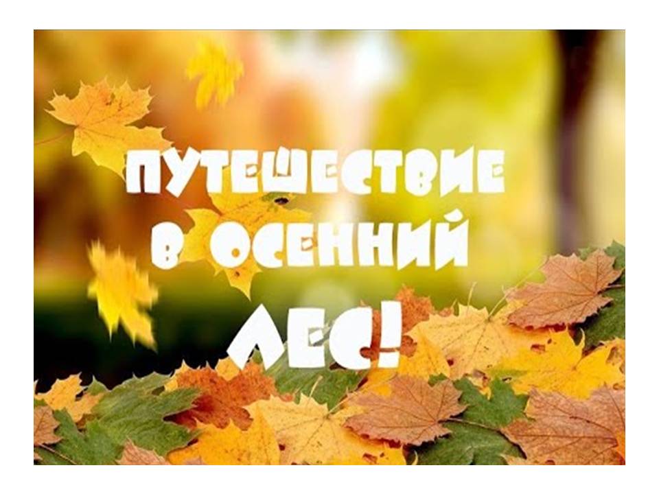 АШЫҚ ОҚУ ҚЫЗМЕТІ. ЕРСЕКТЕР  ЛЮБОЗНАШКИ ТОБЫ. ТАҚЫРЫБЫ: ОРМАНҒА САЯХАТ   ҚАЗАҚ ТІЛІ  МАМАНЫ   УСЕРБАЕВА НАСИМА ТУРСЫНБАЕВНА